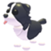 Border Collie - Rare from Spring Fest 2023 (Robux)